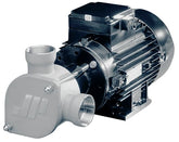 FIP25SIBSPXXM01F80 Impellerpumpe